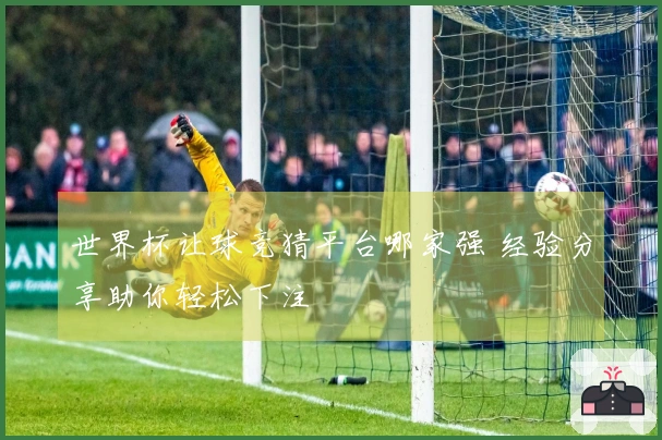 世界杯让球竞猜平台哪家强 经验分享助你轻松下注