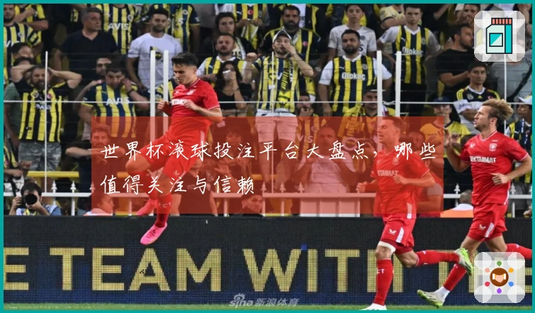 世界杯滚球投注平台大盘点，哪些值得关注与信赖