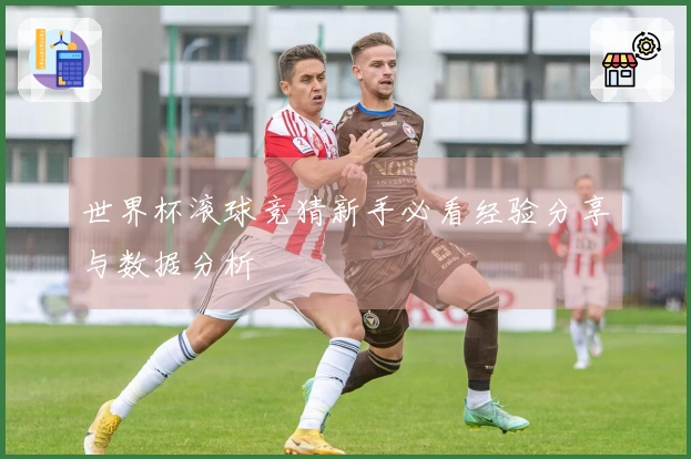 世界杯滚球竞猜新手必看经验分享与数据分析