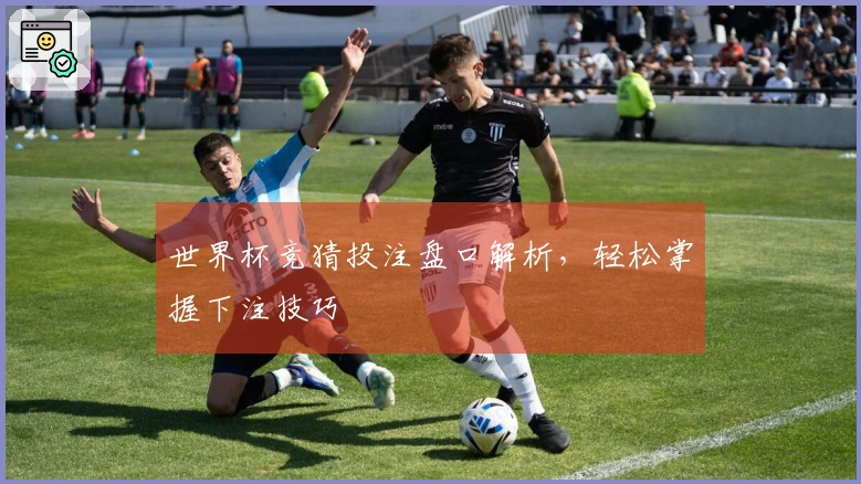 世界杯竞猜投注盘口解析，轻松掌握下注技巧