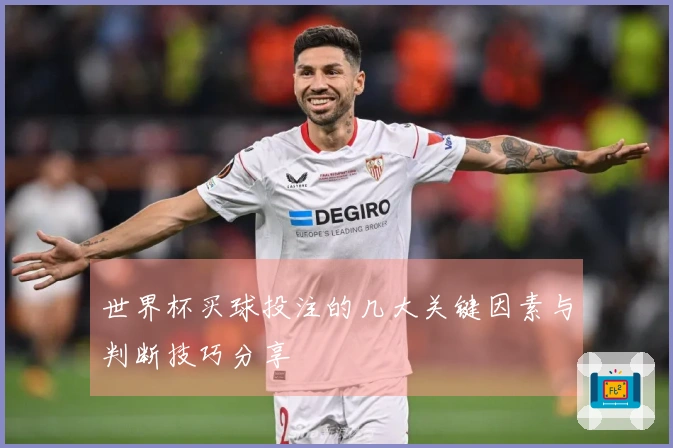 世界杯买球投注的几大关键因素与判断技巧分享