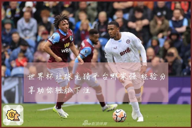 世界杯让球竞猜平台哪家强 经验分享助你轻松下注