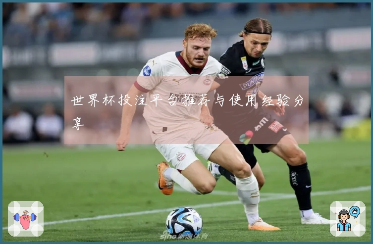 世界杯投注平台推荐与使用经验分享