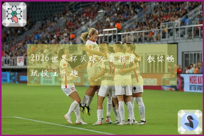 2026世界杯买球必备指南，教你畅玩投注乐趣