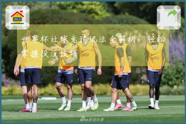 世界杯让球竞猜玩法全解析，轻松掌握投注技巧