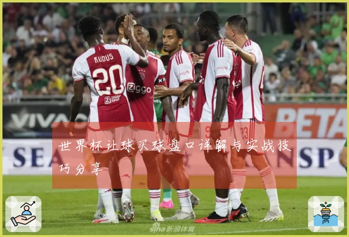 世界杯让球买球盘口详解与实战技巧分享