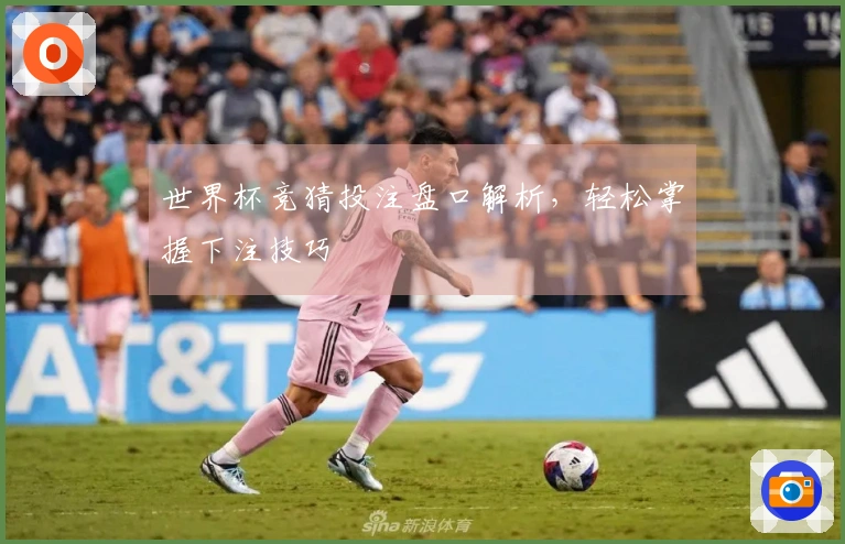 世界杯竞猜投注盘口解析，轻松掌握下注技巧