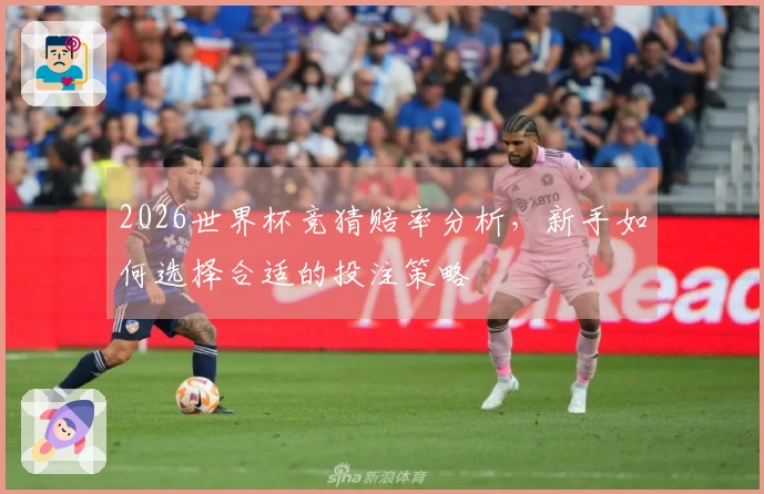 2026世界杯竞猜赔率分析，新手如何选择合适的投注策略