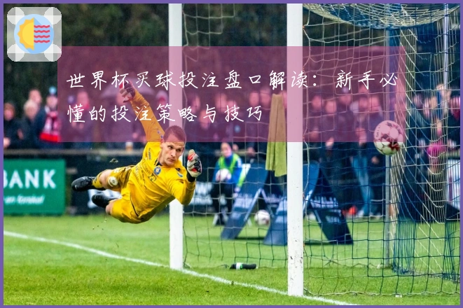 世界杯买球投注盘口解读：新手必懂的投注策略与技巧
