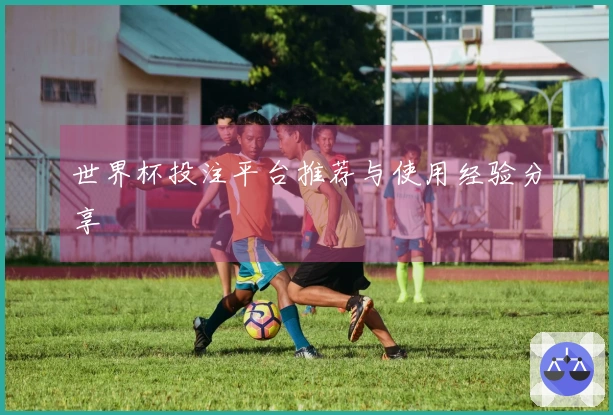 世界杯投注平台推荐与使用经验分享