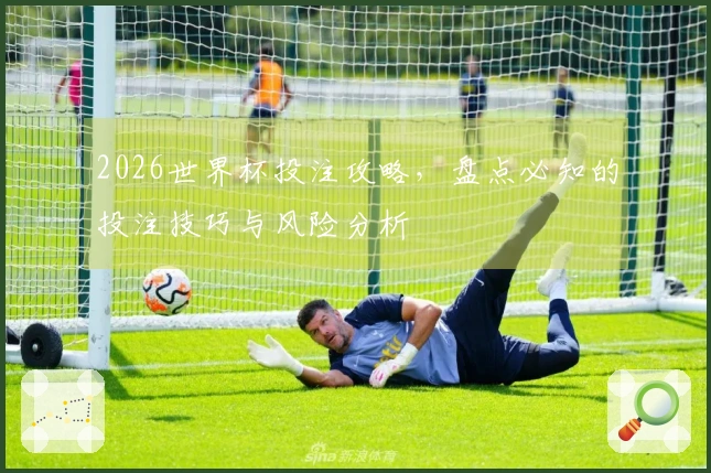 2026世界杯投注攻略，盘点必知的投注技巧与风险分析